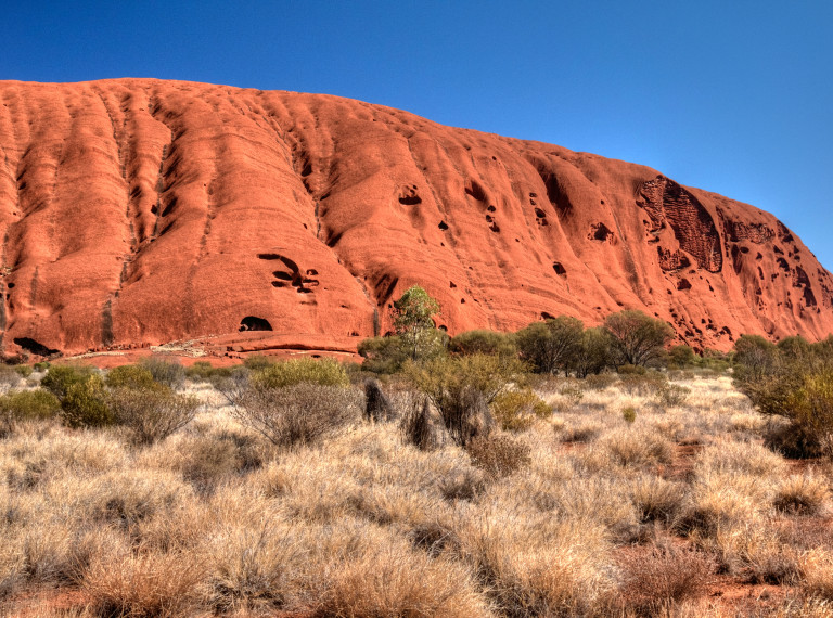 Australia Icone Australiane Citta Koala Canguri Aborigeni E Queensland Agenzia Viaggi Nuove Ali Milano