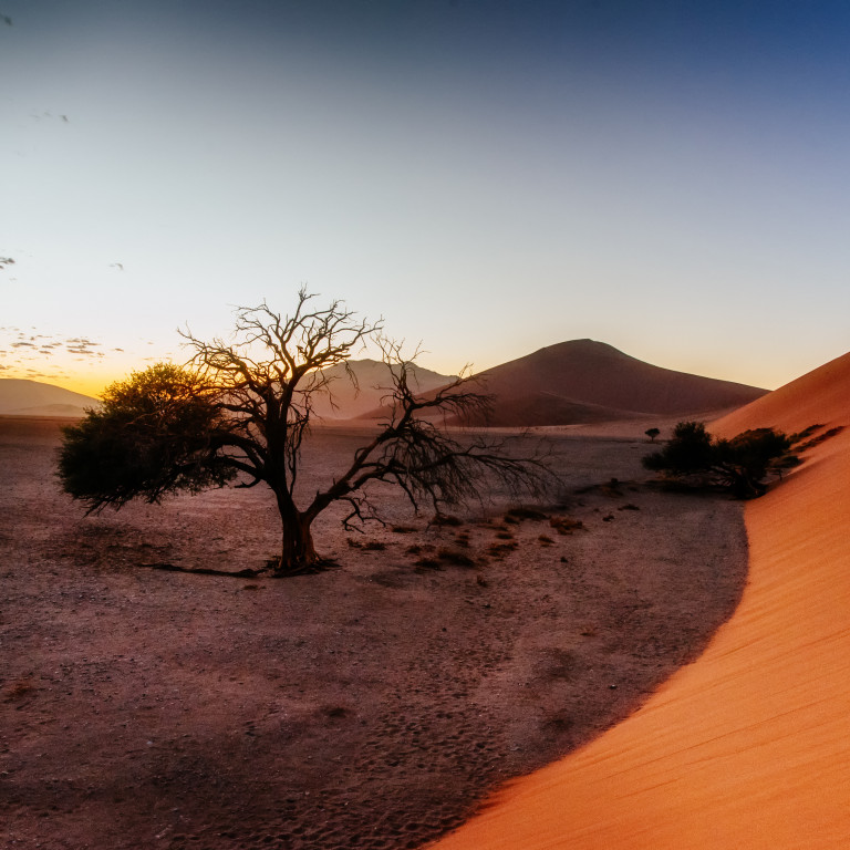 Namibia: Là dove la natura ha creato l'impossibile | Agenzia Viaggi Nuove Ali - Milano